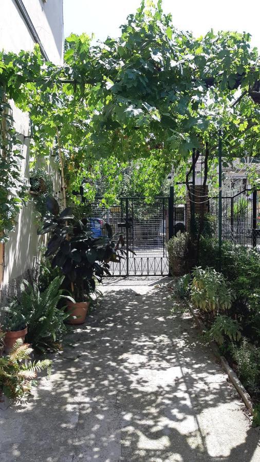 Casa Sofia - Appartamento Con Parcheggio Riservato แตร์นี ภายนอก รูปภาพ